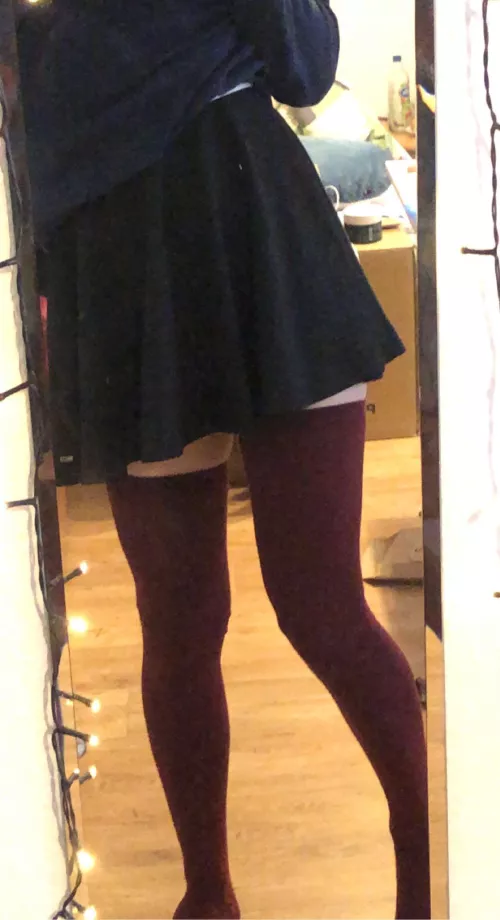 can you spot the shark?