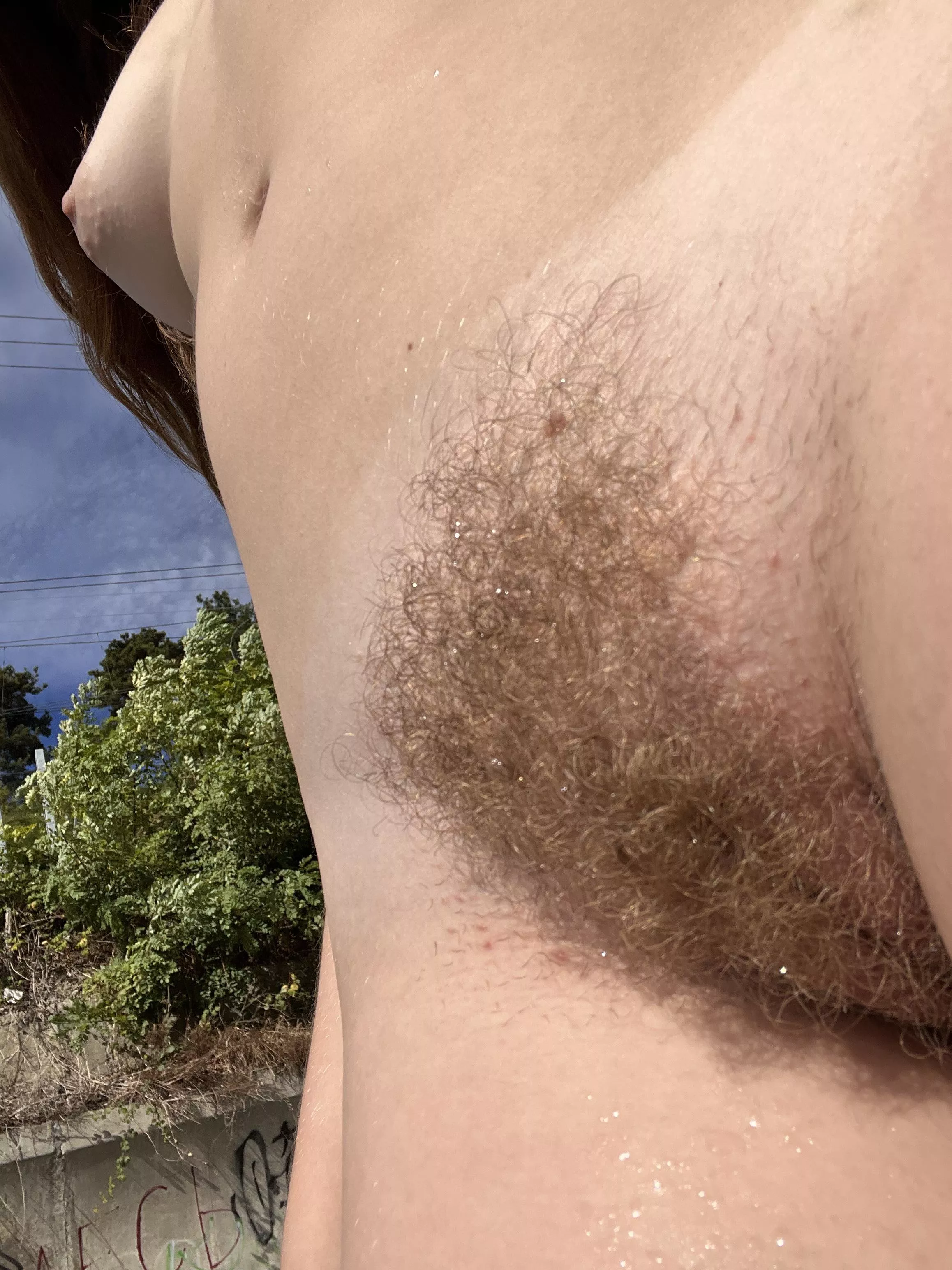 Do you like my ginger curls?