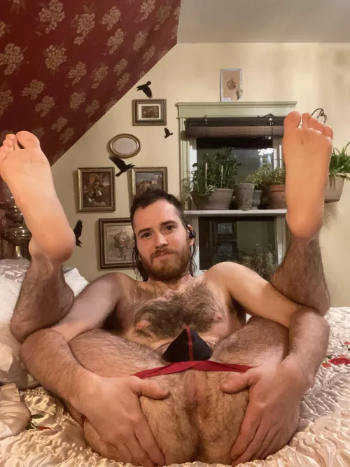 Hairy chest, hairy legs, hairy hole