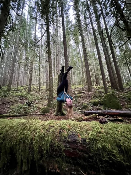 Hashira in a misty forest (OC)