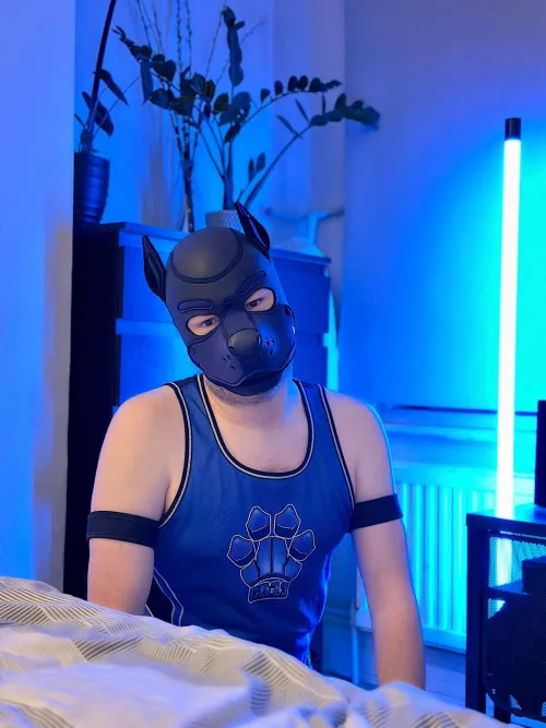 Hey pups! Hope you all had a nice weekend! 🐶💙