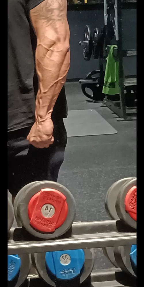 maybe i Can break your neck