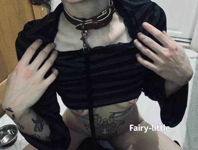 My everyday comfort x