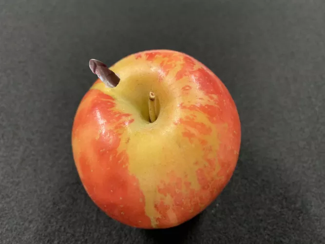 (oc) Worm in my Apple