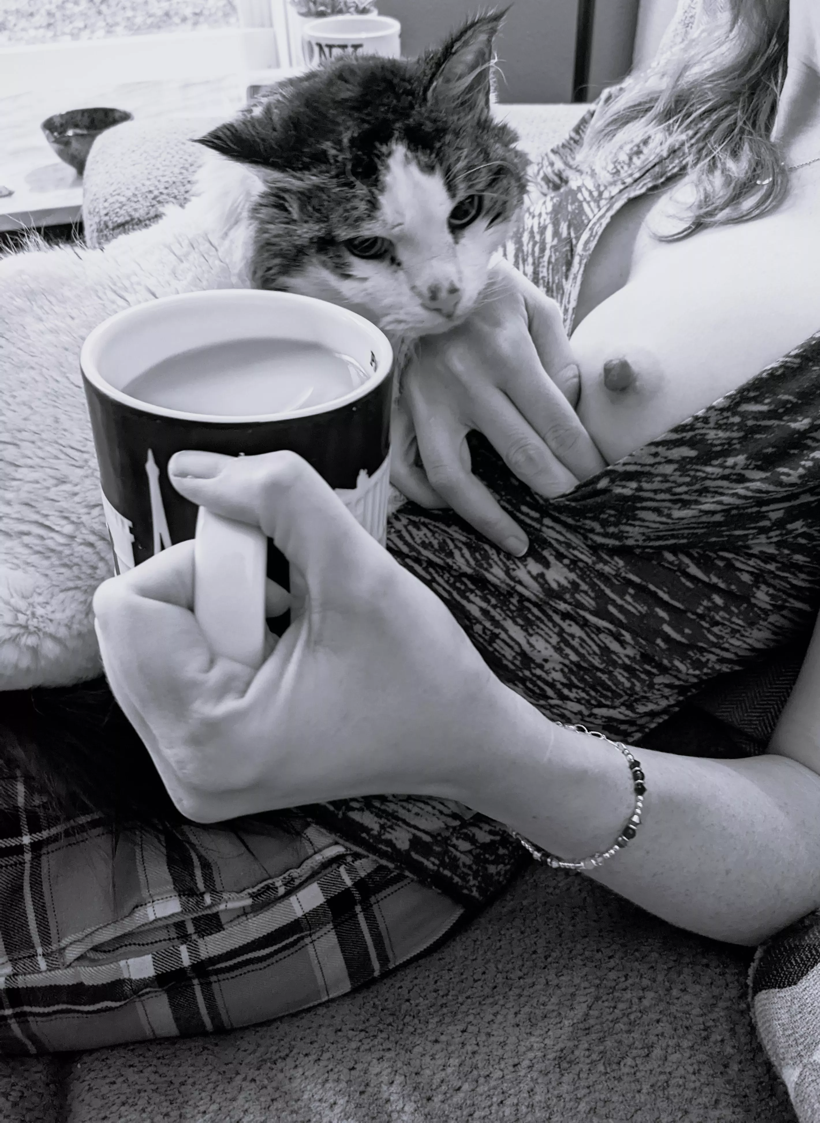 Unfortunately, Mr. Kitty is no longer with us, but he was quite the coffee lap cat.