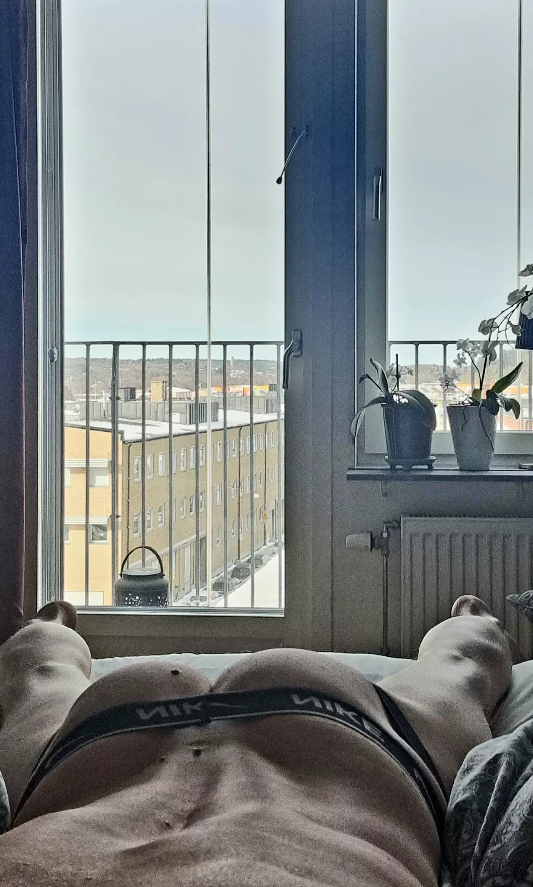 you like my jockstrap?