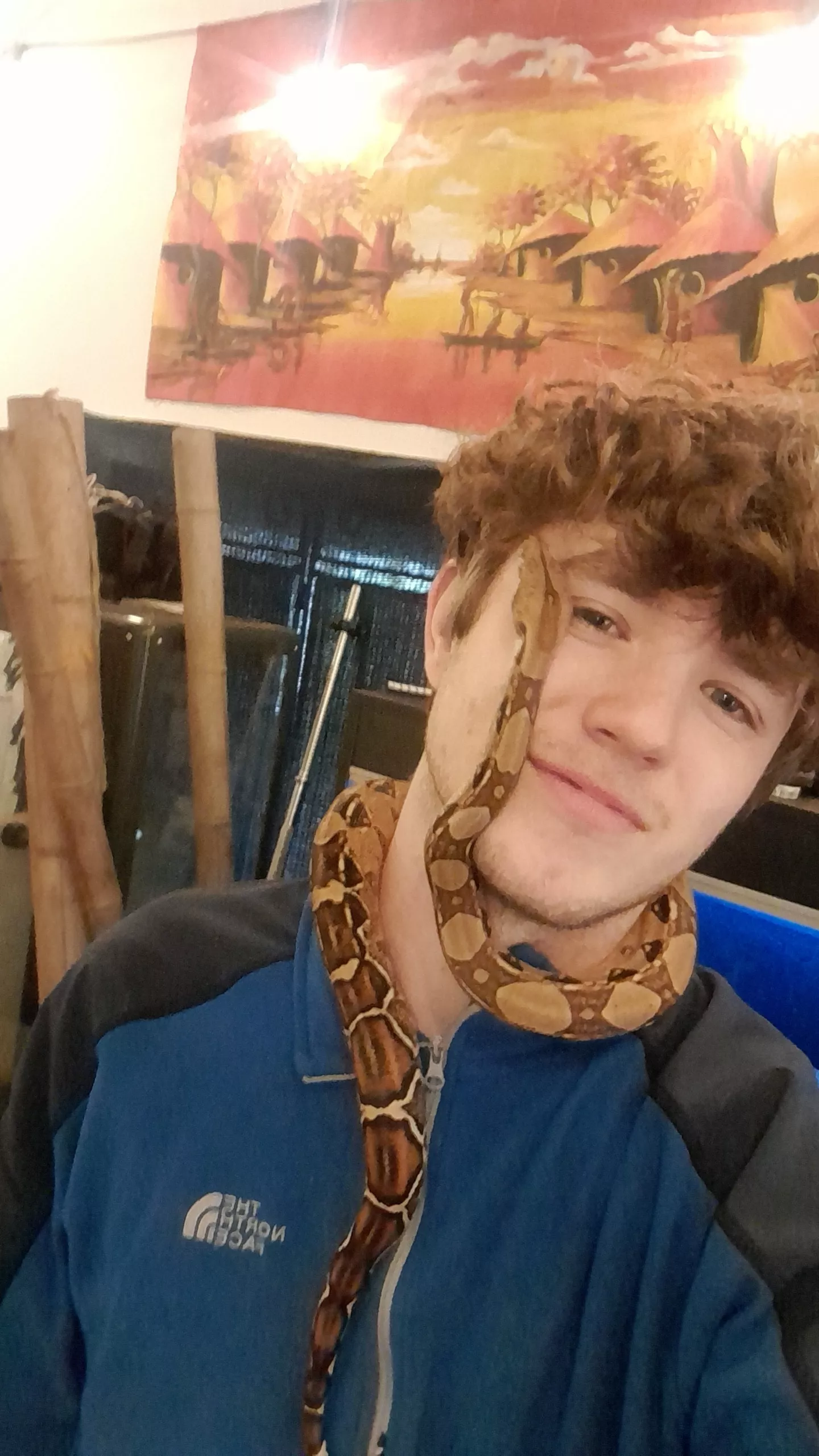 Any other snake lovers here? Collections going from 3 to 5 tomorrow π Any other snake lovers here? Collections going from 3 to 5 tomorrow π