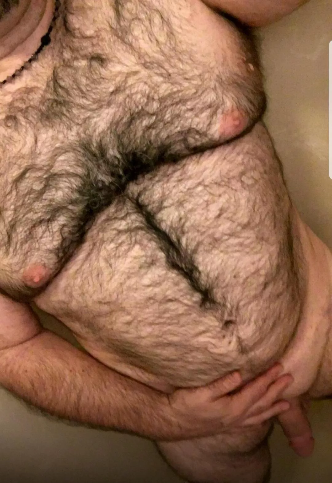 Desert 🏜️ Bear: Welcome to Scottsdale AZ