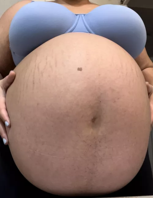 How many times are we going to breed together?