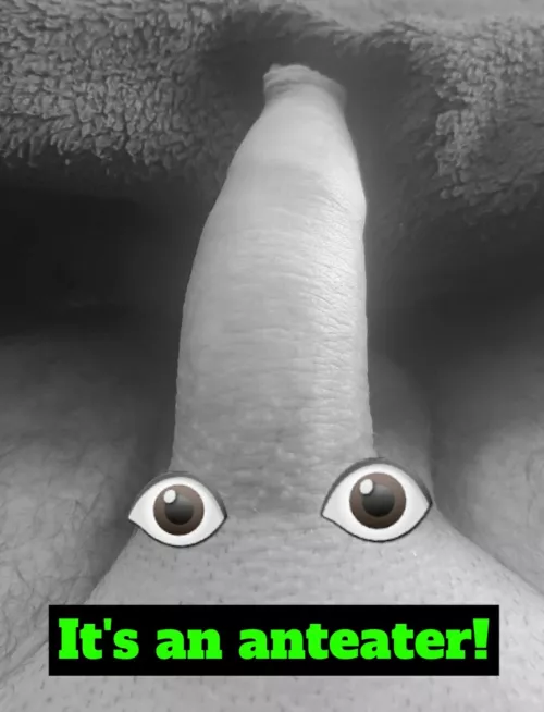 I'm so glad I found this subreddit 😂