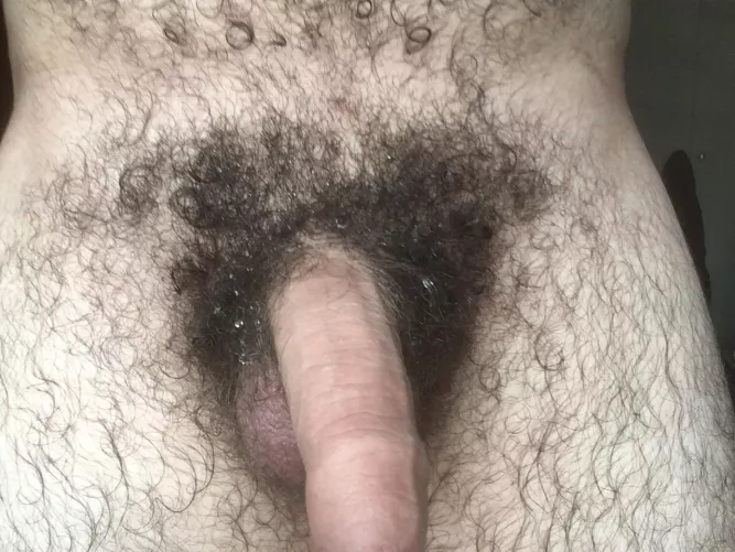 I’m still a bit wet from the shower, come help me dry