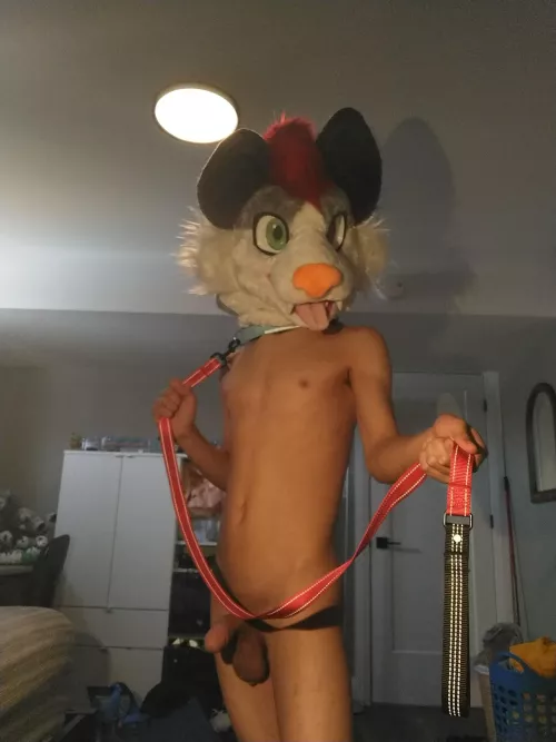 So, gonna take the lead or what?