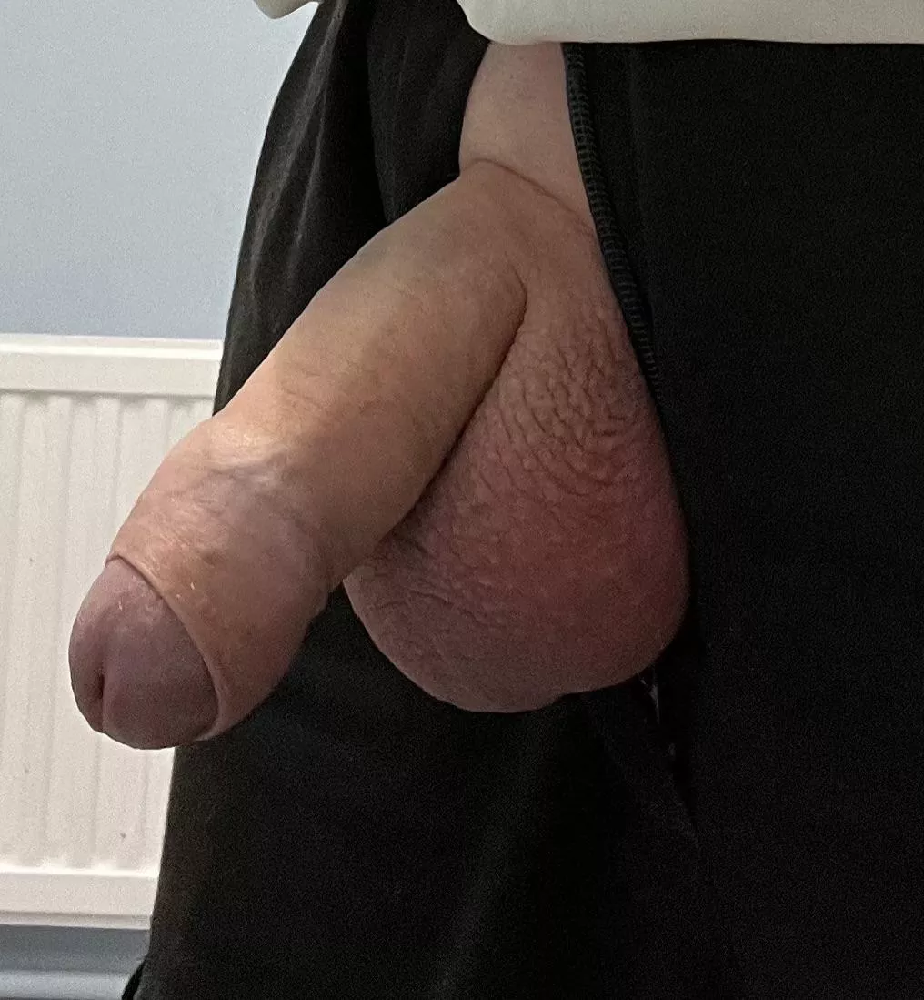 Think my balls are full today [45]