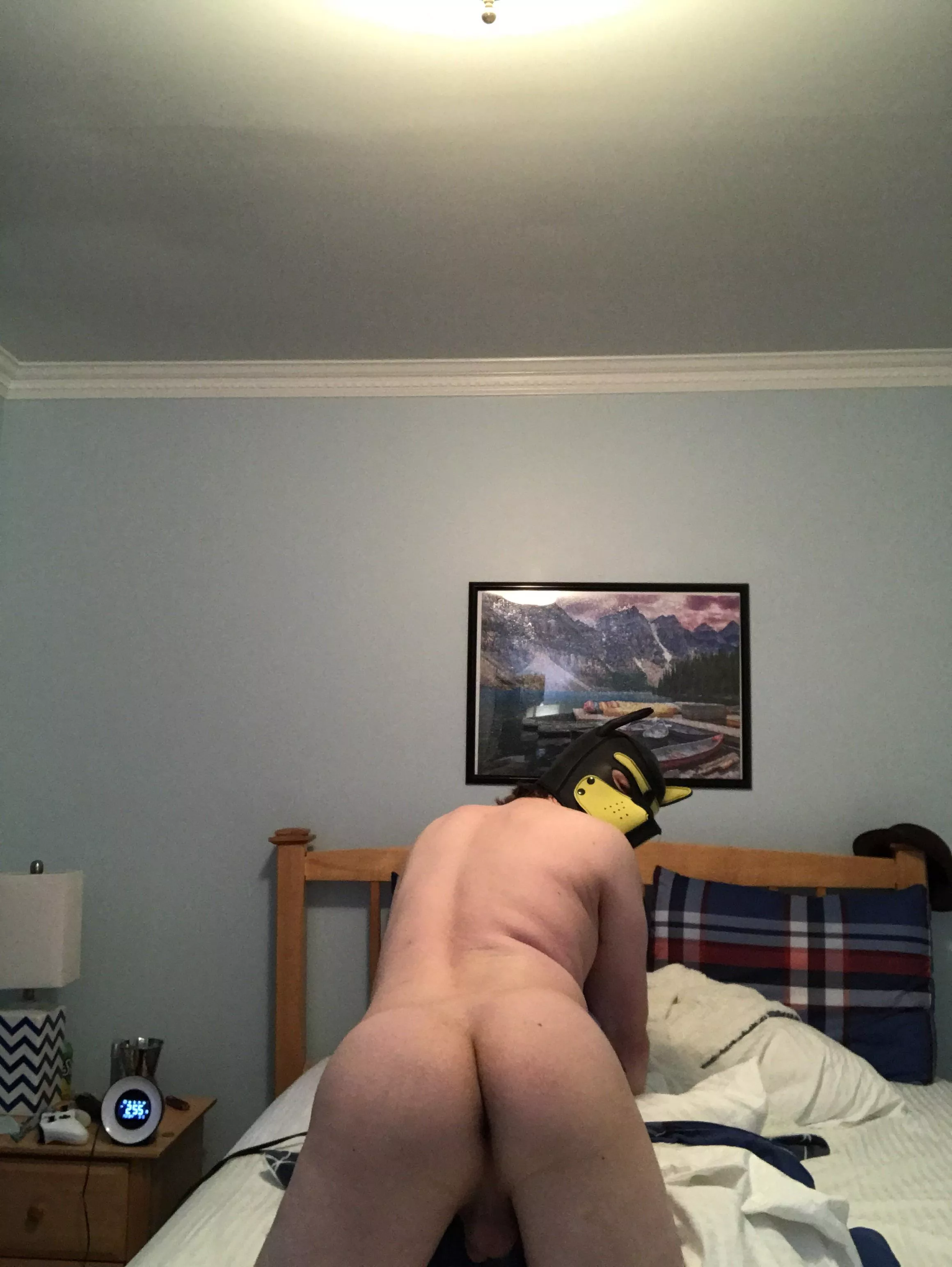 This pup likes showing off the things his pup hole can do.🙃