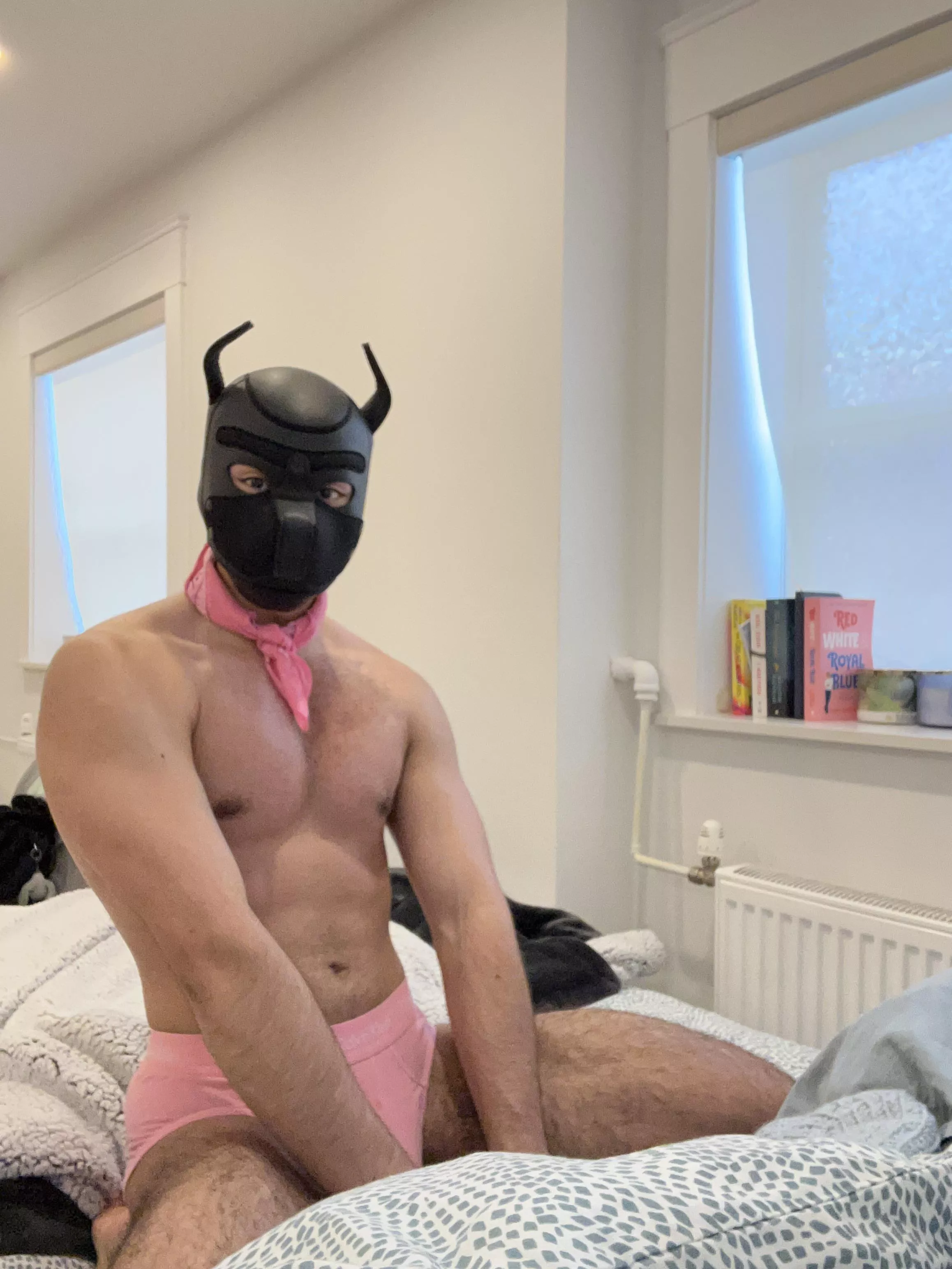 This puppy loves pink. Twitter @maxthedogboy