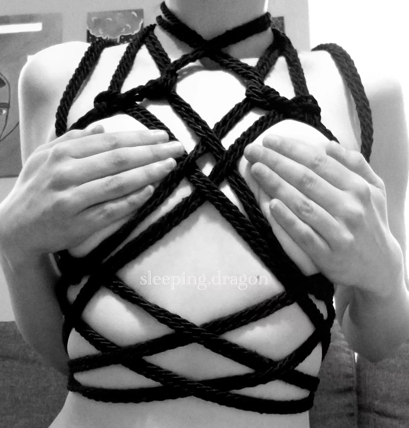 Today's first attempt.