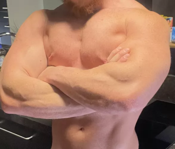 What’s your thoughts on these?