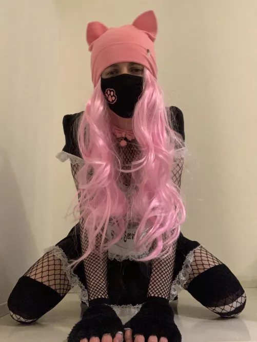 Would you get into my trap?