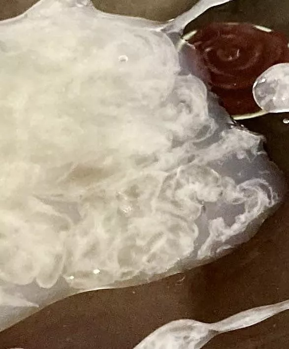 Closeup, there’s all sorts going on!