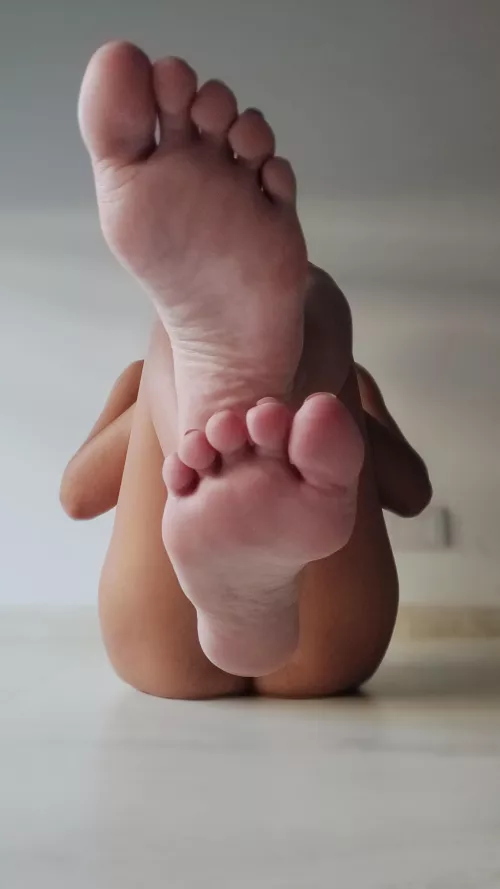 It's time to worship my feet, I know you want to lick them