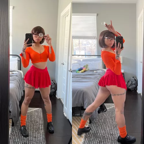 Jinkies 🔎