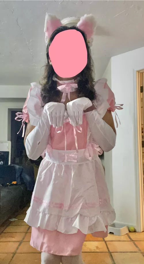 meoowww, dont make me clean please!