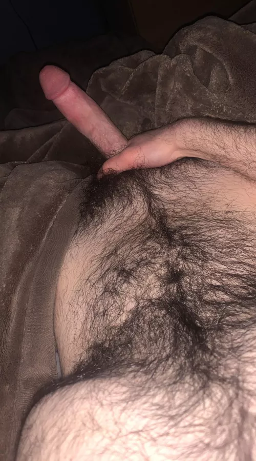 Need a twink to make this hairy 20 yo cock cum
