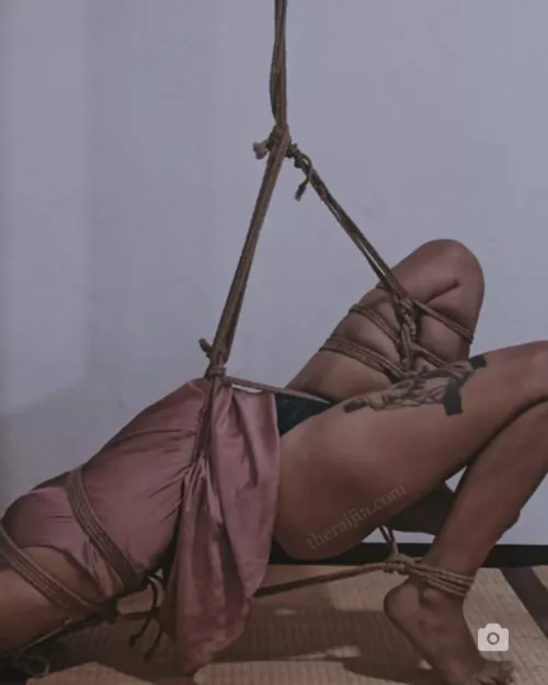 probs not wild enu(f), but does anyone know a good shibari sub?