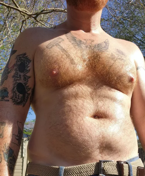 Sun kissed Ginger chest hair