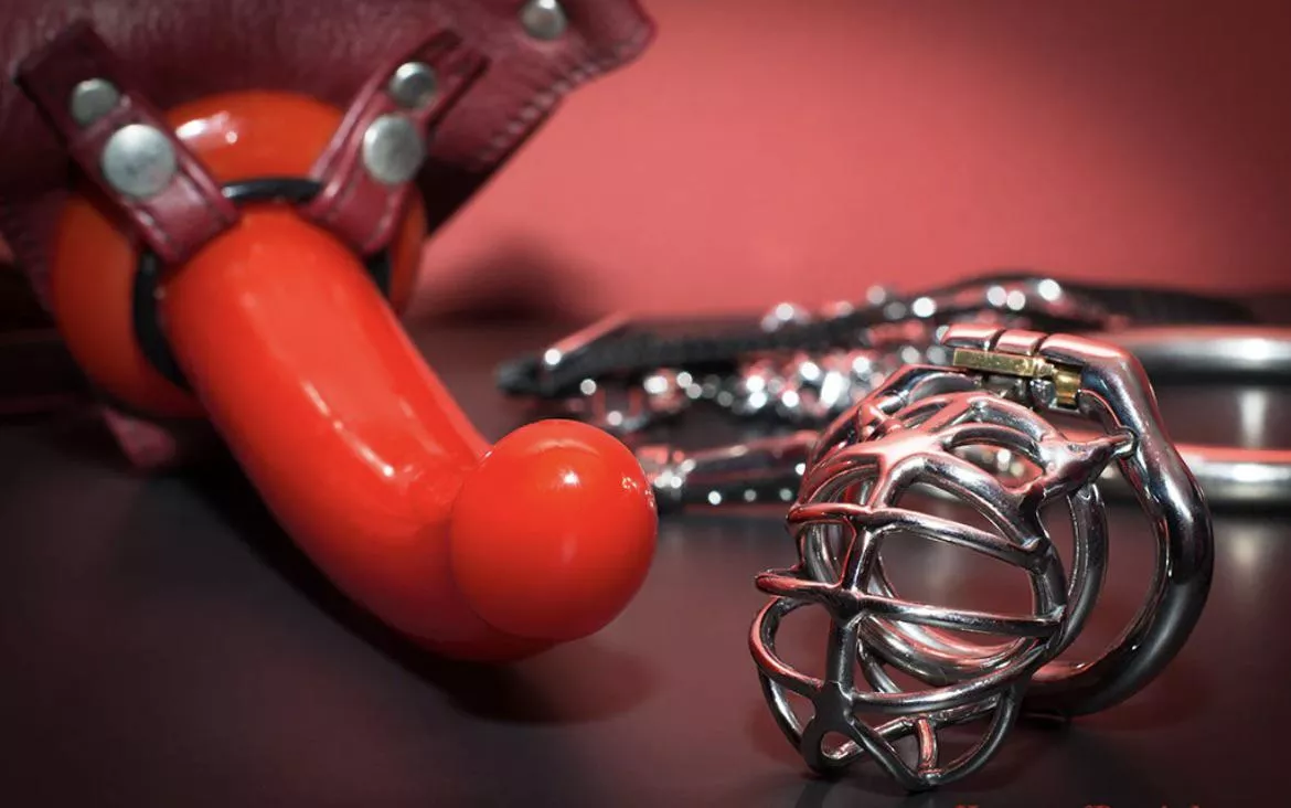 Think slave boy will like my new red toy? He’s an anal Virgin. Training to begin and filmed on live!