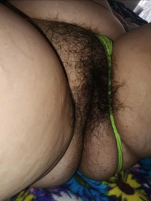 1st time posting and unsure... What would you rate (1-10) this bush?!?