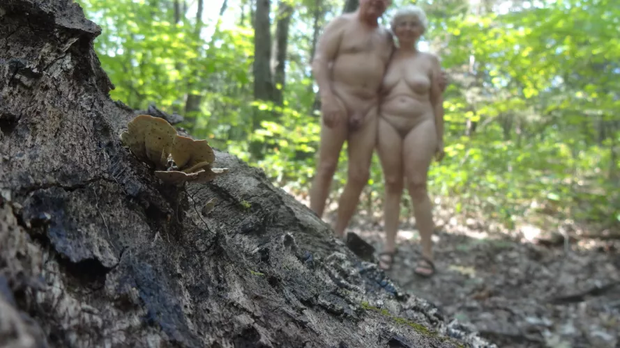 A walk in the woods.