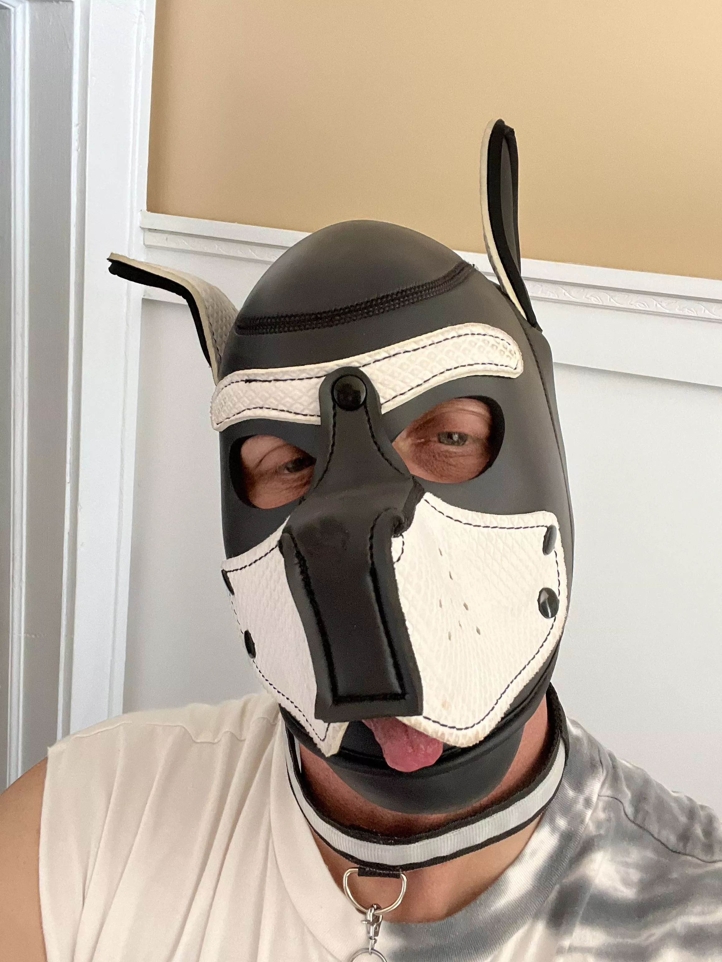 Bought me a new collar! 7 different colors depending on mood