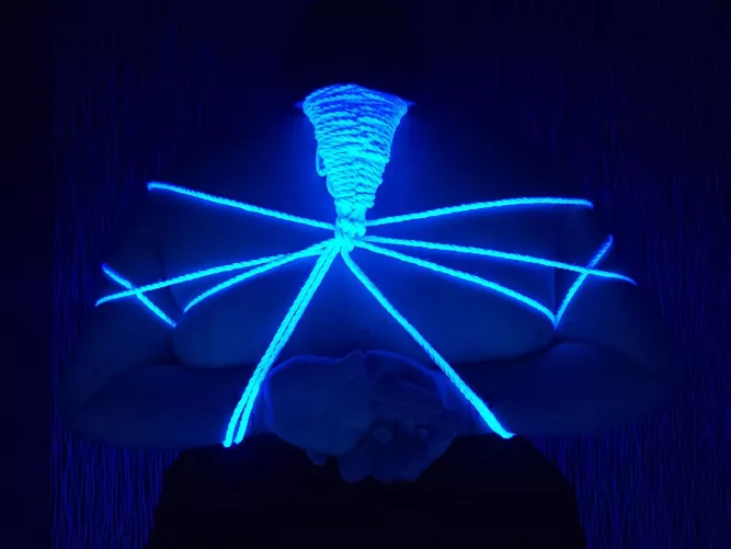 I got toped by a beautiful woman and She put me in a chest harness!