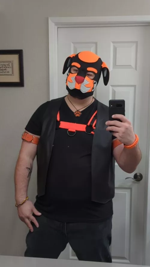 Master is looking for pups