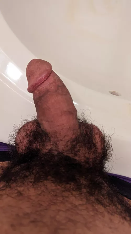 thick, hairy, and full of cum. who can help?