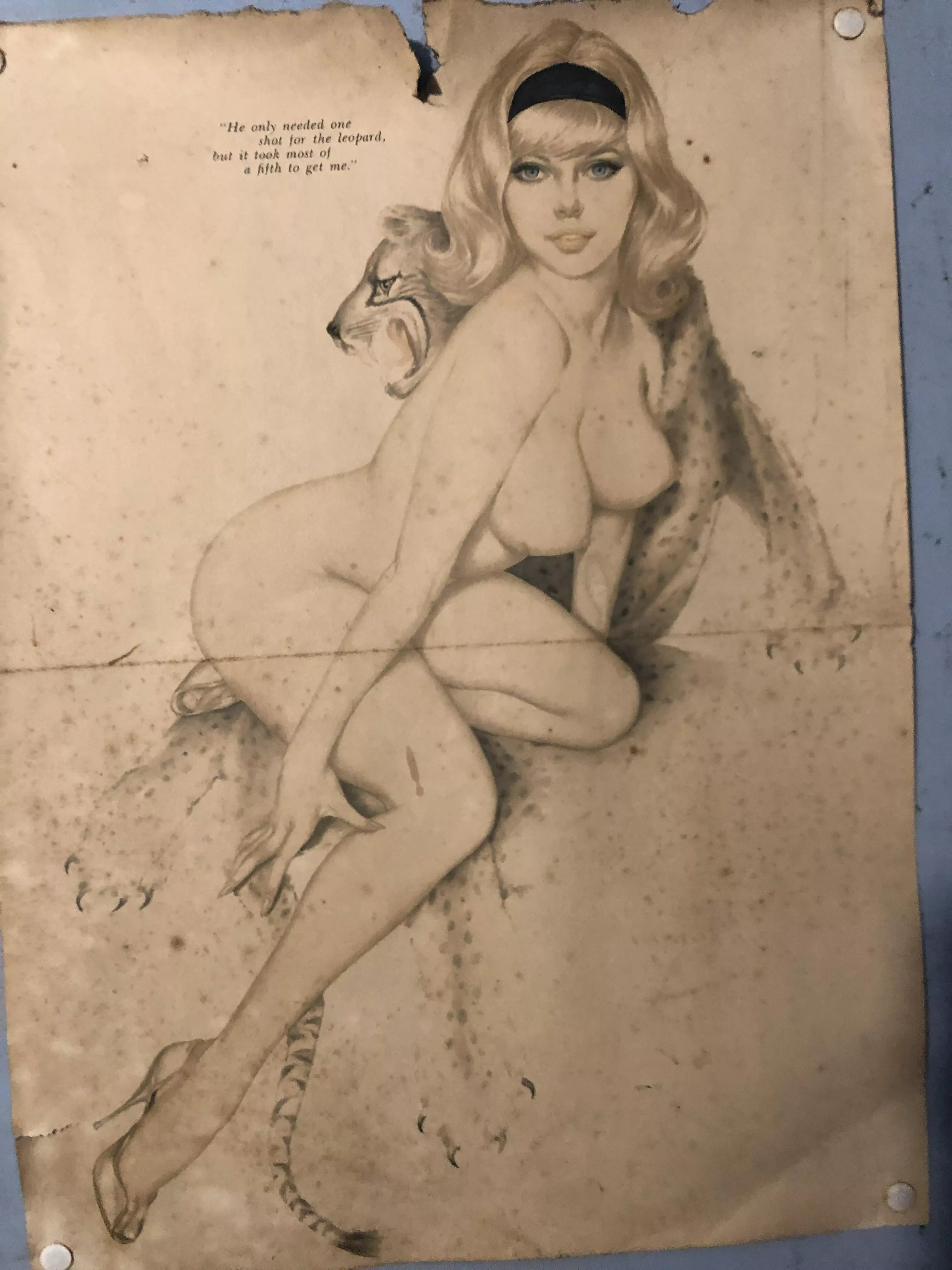 This has been hanging in my bathroom for as long as I can remember. I blame my bisexuality on it.