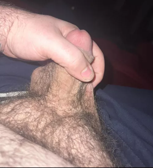 (40) Bite my fat pouch🐻😈