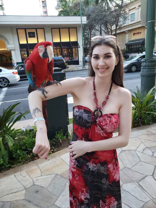 Angelina Diamanti (Underrated AF)