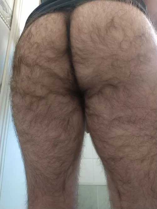 any bear daddy looking to open my virgin hole?