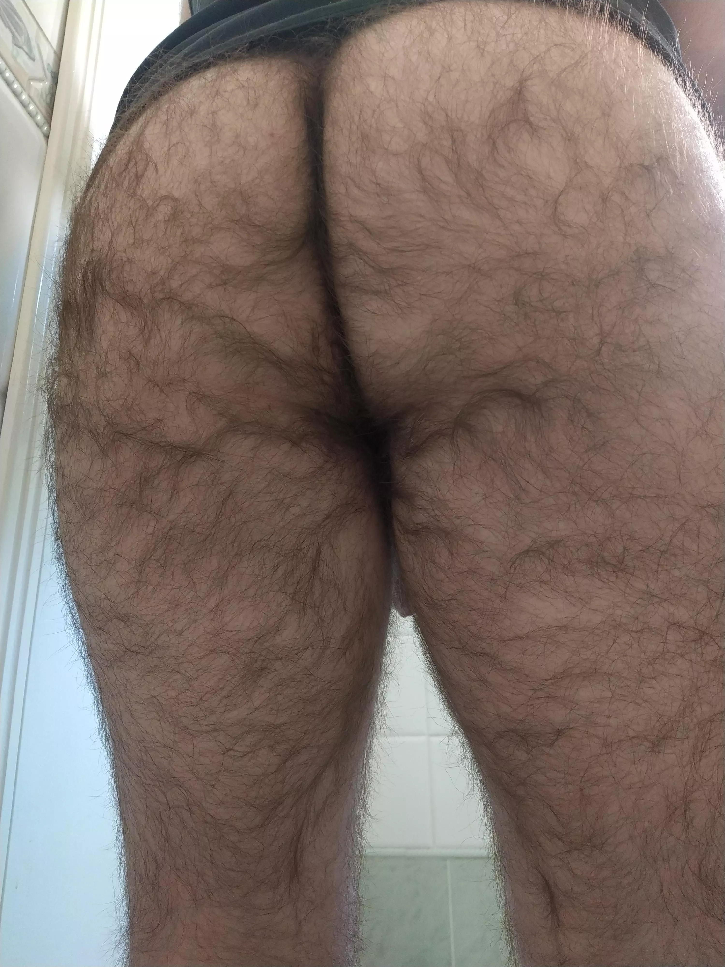any bear daddy looking to open my virgin hole?