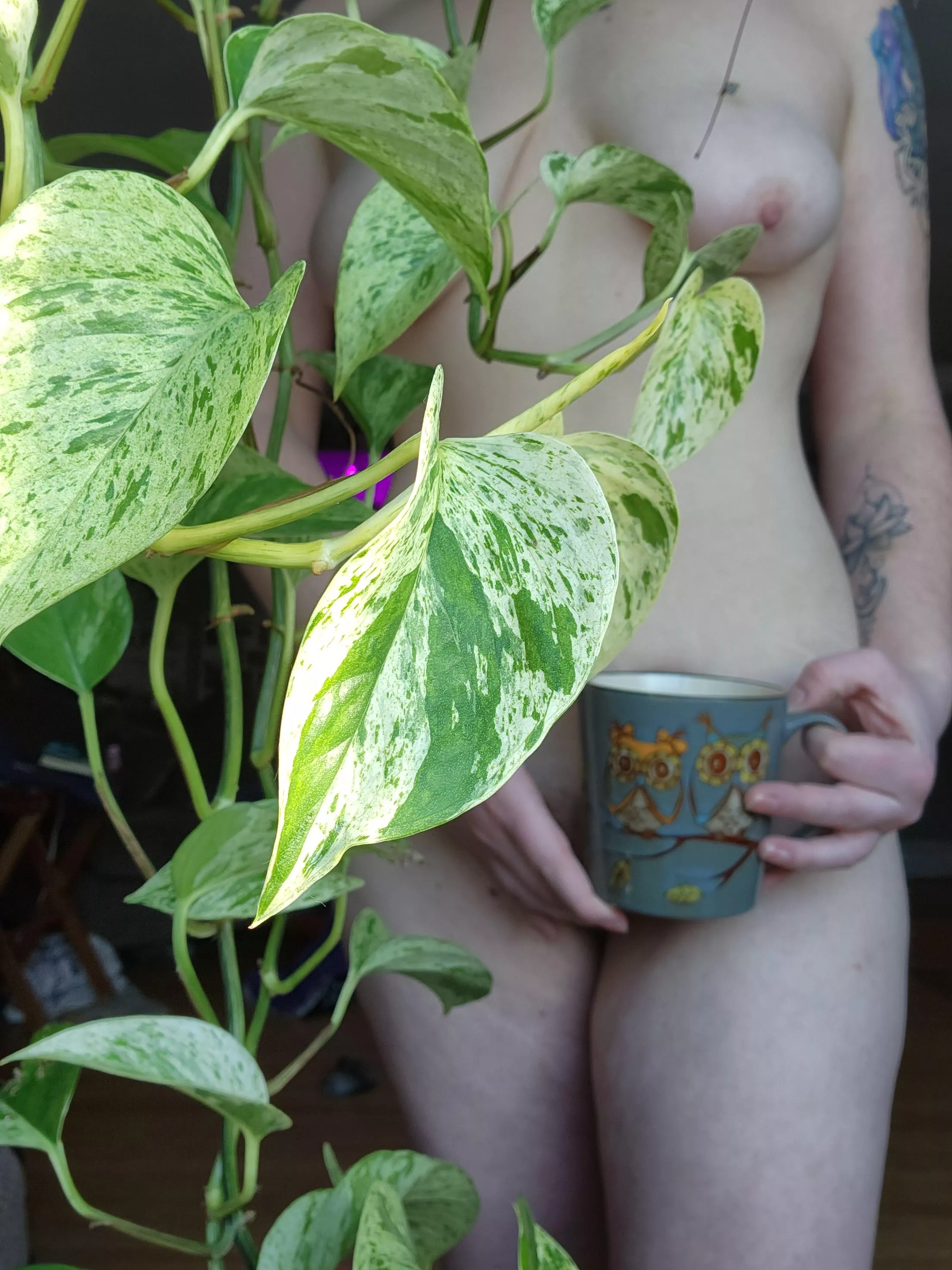 Come find me among the leaves....