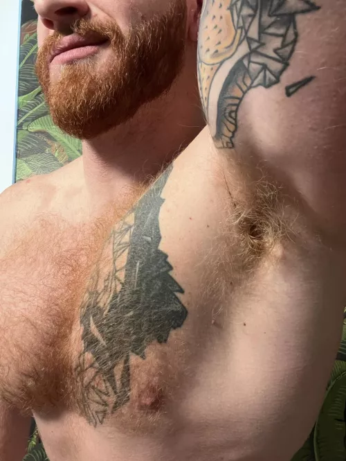 Do you like meaty armpits?