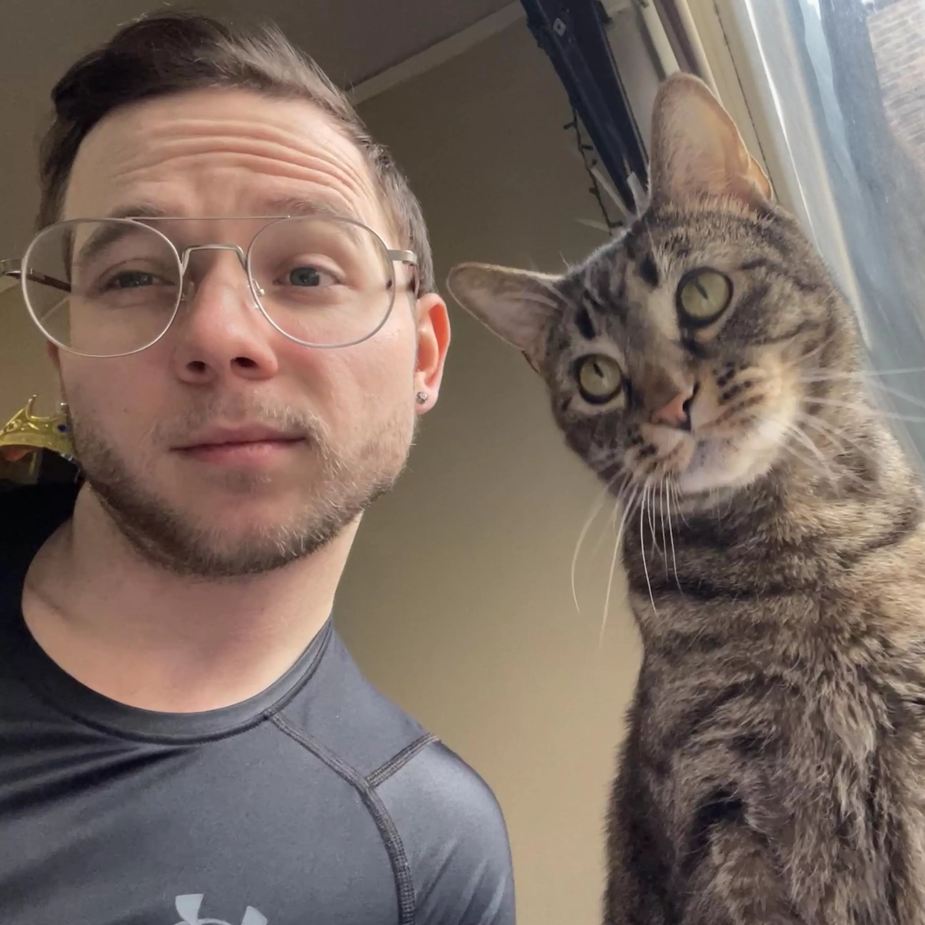 I’m independent like a cat but I still need a man I’m independent like a cat but I still need a man