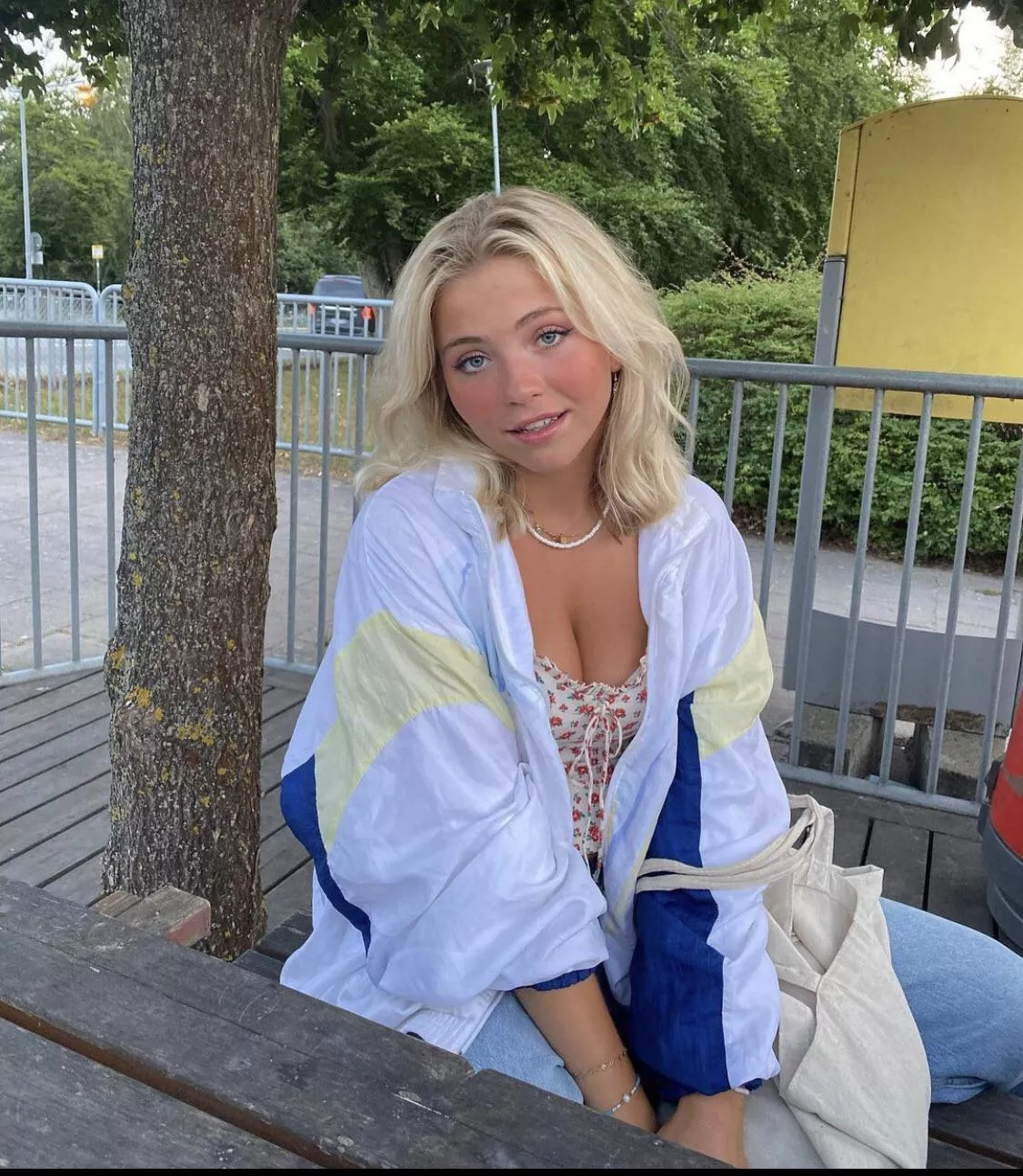 IUTR swedish classmate