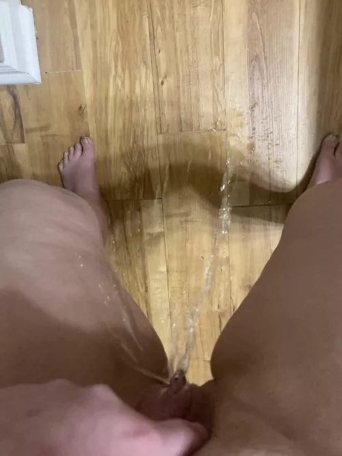 I’ve never peed on the floor before.