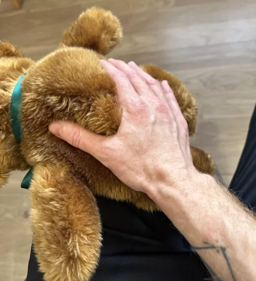 Kindly take Teddy's place 😌