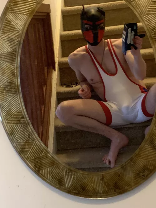 Looking for other pups