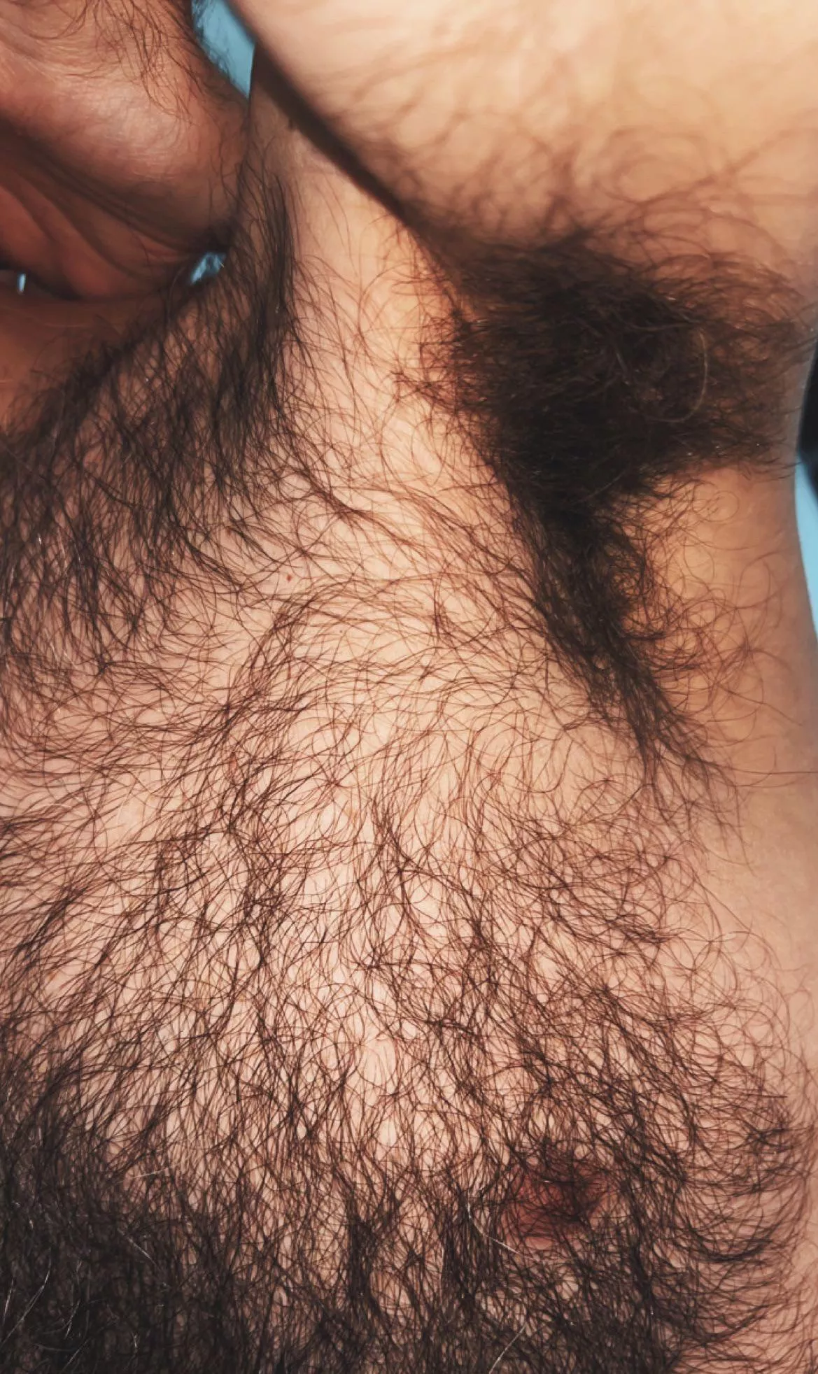 My furry pits & tits are ripe this morning. One sniff and you'd never recover...