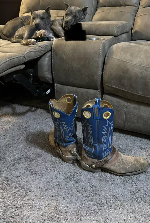 Ready for another day, we’ll getting ready to be ready lol